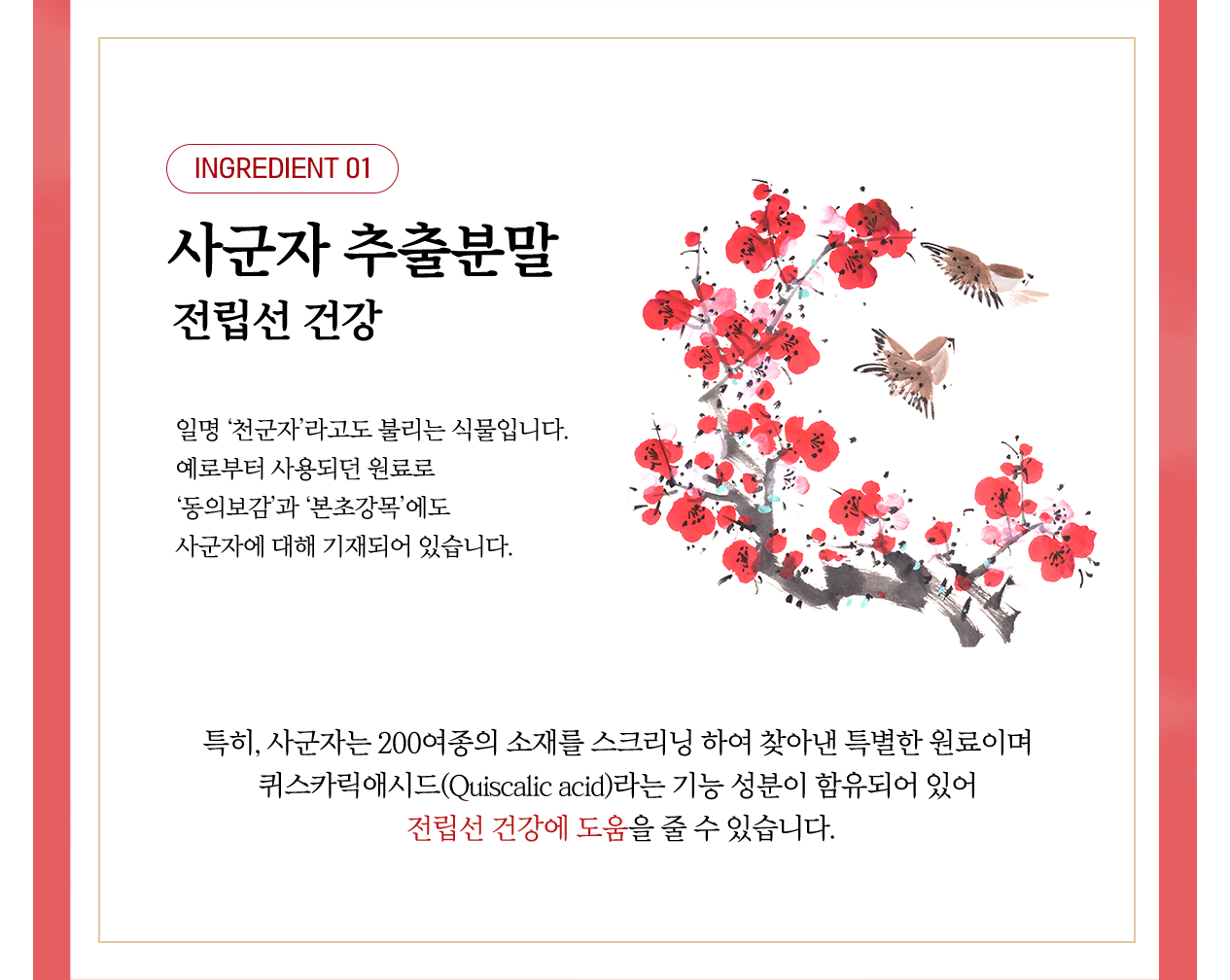 사군자 추출분말 전립선 건강